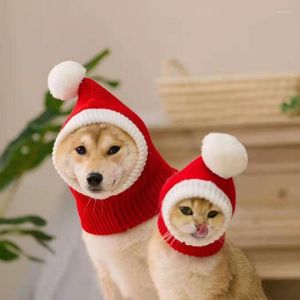 Hundkläder Pet Winter Wool Hat French Doll Chihuahua Golden Retriever Big Christmas British Short Cat Accessories