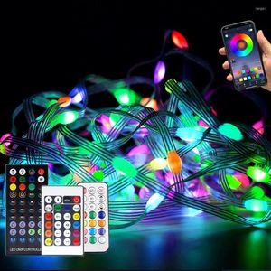Строки 2022 USB светодиодные струны RGB Light для рождественского приложения Bluetooth Ir пульт дистанционного управления DC5V Power Wedding Party Decor Fairy Lights