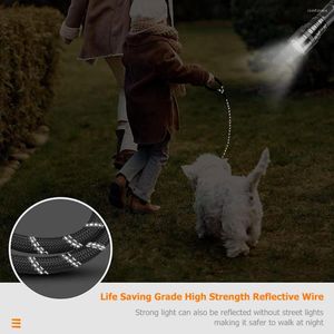 Colarinhos de cães corda de treinamento de nylon com tigela dobrável colares refletivos de segurança