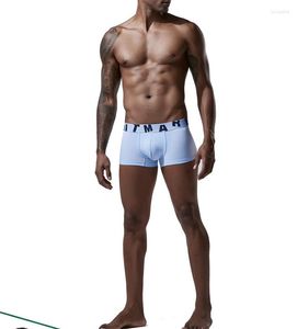Mutande da uomo 2022 Comodi boxer in cotone Biancheria intima da taglio anti-taglio morbida e sexy