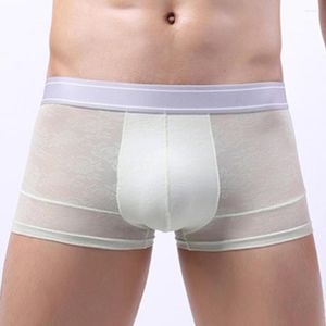 Underpants Mens Boxer Briefs Boxers Shorts Bulge Pouch Trunks Underwear