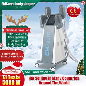 Christmas Shopping Spree DLS-EMSlim RF Electromagnetic Slimming Muscle Stimulation fat Removal EMSZERO Muscle Building Machine