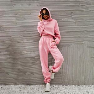 Women's Two Piece Pants 2Pcs/Set Female Tracksuit Pockets Pullover Cold Resistant Casual Outfit For Home