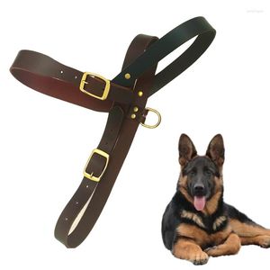 Hundhalsar Vest Stor sele Walking Training Real Leather Big Harnesses Strap For German Shepherd Labrador Husky Dogs