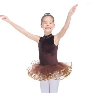 Stage Wear Brown Velvet Dance Tutu High Neck Sleeveless Leotard With 4 Layers Soft Tulle Skirt Girls Ballet Dress