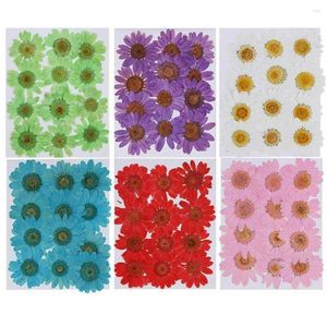 Fiori decorativi 12PCS / Bag Pressed Daisy Collana con ciondolo a forma di fiore essiccato Resina Creazione di gioielli Artigianato fai da te Arte