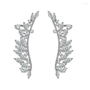 Brincos de garanhão Asa de zircão Design Busos de joalheria coreana de jóias coreanas Kolczyki Oorbellen Brincos