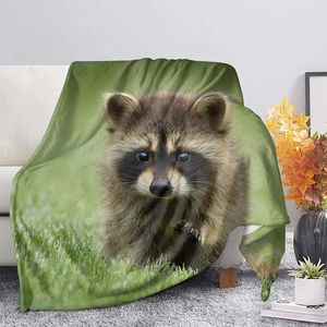 Coperte Raccoon Animal Throw Green Coperte per divano di divano divano morbido Accogliente per bambini ragazzi per ragazzi per ragazzi