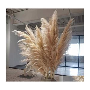 Decorative Flowers Wreaths Wedding Flower Pampas Grass Large Size Fluffy For Home Christmas Decor Natural Plants White Dr Homefavor Dhnaj