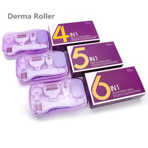 Micro Needle Rolle Derma Roller Dermaroller Titanium Włosy Wzrost Broda Broda Mikroneedle Skin Care Oczo doczu leczenie narzędzie urody