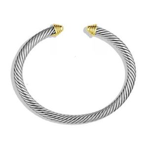 cuff Bracelet Adjustable Wire Rope Open Charm 5mm Stainless Steel Woven Twisted Fried Dough Twist Gold Head Bracelets Designers Luxurious