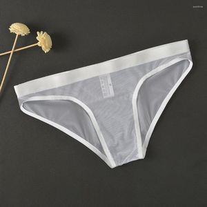 MUITOPANTEM MENH MENH MENS SULMENTO DE MENORIA PARA MENHA MENHA MENHA DE RECULHA DE RECIFICADA DE RECULHADA DE MENOS SOLIDOS MENINOS PERDADES EXTROICAS LINGERIE