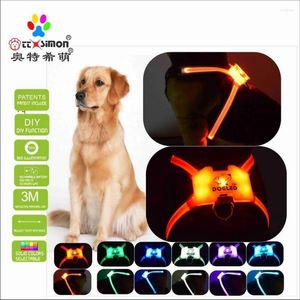 Dog Collars CC Simon Productsユニークなナイロン光るLED Collar Puppy Lead Pets Vest XL for Large