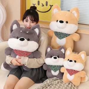 50/70/90cm Kawaii Dog Pluxh Toy Pillow Pillow Pillow Husky Shiba Inu Dog Plush Annody Birthda