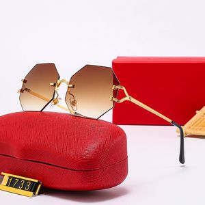 Vintage Sonnenbrille Neue übergroße hexagonale Brille Damen frameless Designer Model Metal Classic Vintage Mode Eyewear