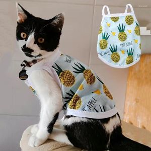 Trajes de gato vestuário de filhote de filhote de cachorro doce colete de animais de estimação de desenho animado para gatos cães pequenos malha respirável baixo preço gatinho mascotes roupas