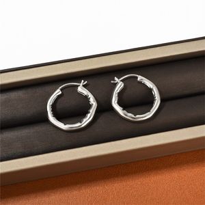 2022 New Irregular Metal Earrings Stud Niche Design Fashion Personality Commuter Temperament All-Match Jewelry Accessories