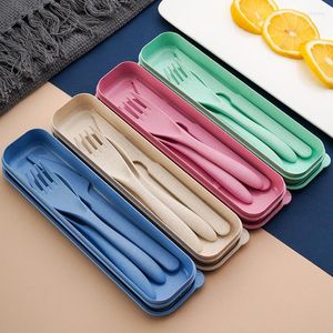 Set di stoviglie 4 posate di grano portatili creative a colori con custodia Eco Fridendly coltello forchetta cucchiaio set per mensa studentesca campeggio da viaggio