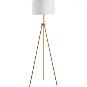 Floor Lamps Modern LED Lamp Nordic Gold Tripod Lights Bedroom Bedside Wire Switch For Living Room Foyer Sofa Vertical
