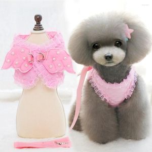 Colarinho de cachorro colete de arnês macio, roupas de estimação de anjo fofo e lidera a calça de cachorro da calda de gato design de marca de gato rosa azul branco xs s m l