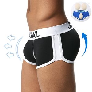 Underbyxor jockmail sexig mäns vadderad boxare shorts bomull trycka upp gay underkläder buenhancer mjuk stam inkluderar kuddar fram bakåt bakre