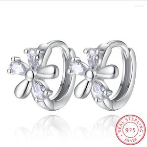 Hoop￶rh￤ngen ￶verdriven 925 Sterling Silver CZ Plum Blossom Flower for Women Girl Fashion Piercing Huggie Earring Oorbellen