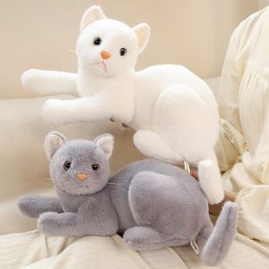 25 cm-33 cm simulazione gatto di colore solido giocattoli di peluche americano shorthai gattino siamese carino bambola animale di pezza bambini decorazioni per la casa