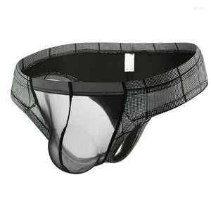 Unterhosen Sexy Homosexuell Unterwäsche Herren Slips Bikini Slip Homme Kunstleder Transparent Mesh Penis Beutel Männliche Höschen Cueca S-XXL