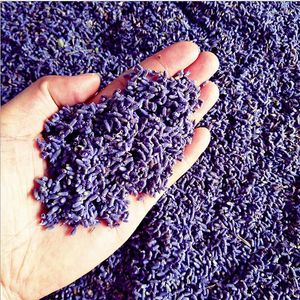 Dekorativa blommor korn bulk lavendel naturlig varaktig lavend torkad blomma fyllning 1 uns real