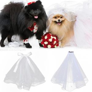 Hundkläder Classic Wedding Veil Bridal Costume Boutique Puppy Cat Pets Accessory Grooming Drop Ship Accessories