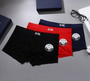 Cuecas masculinas de algodão estiramento boxer briefs designer marca moda clássico shorts 3 pçs com box3904408