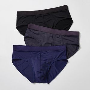 Underbyxor 3 st/mycket sexiga m￤n underkl￤der mjuka trosor mesh andningsbar manlig nylon homme bikini underpant plus storlek 4xl