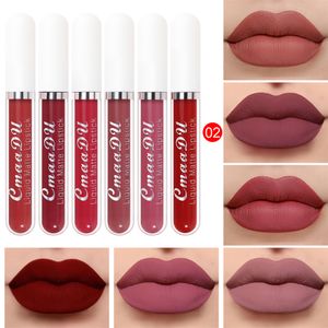 NEUE IN Farben/Set Mode Lip Gloss Sets Natürliche Befeuchten Wasserdicht Samt Flüssigkeit Lippenstift Exquisite Lip Make-Up TSLM1