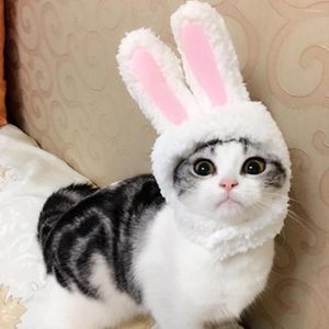 Costumi per gatti Divertenti berretti per cani Vestiti per feste di anno caldo Accessori per cosplay di Natale Po Puntelli Copricapo Halloween