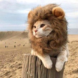Cat Costumes Cute Lion Mane Wigs Pet Small Dog Costume Wig Hat Funny Fancy Ears Cosplay Toy Supplies