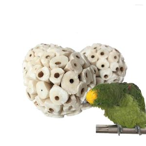 Other Bird Supplies Pet Natural Sola Balls Soft Chew Foraging Toy For Parrots Chinchillas Hamster Guinea Pig
