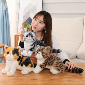 1pc 26 CENTIMETRI Bella Simulazione Gatto Peluches Giocattolo Farcito Morbido Pet Gatto Bambole Kawaii Animale Giocattoli di Peluche per I Bambini bambini Compleanno Decor