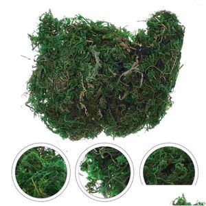 Decorative Flowers Wreaths Plants Artificial Fakefaux Green Lichen Indoor Potted House Natural Simationdried Decorcrafts Filler Cr Dhvgi