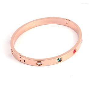 Chegada de pulseira 316 Aço inoxidável ouro rosa cristais coloridos pulseiras de mola jóias de níquel grátis para mulheres presentes