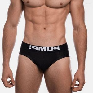 Underpants Comfortable Sexy Underwear Men Briefs Gay Man Cotton Mens Underware Mesh Male Panties Cuecas Masculinas