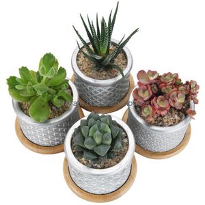Planters Pots Cement Succent Planter Cactus Plant Pot Indoor Small Concrete Herb With Bamboo Tray Grey 4In Set 2.95Inch Y0910 Drop Dhwzk