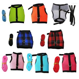 Hundkrage Pet Mesh Harness med koppel Small Animal Vest Lead för Hamster Guinea Pig Set -tillbehör