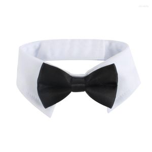 Abbigliamento per cani Cat Tuxedo Cravatta Papillon con abito regolabile artigianale Dropship colletto bianco