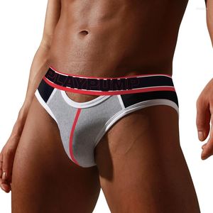 Underpants Playpump Mesh Men Roupa Destina Algodão Sexy Briefas Hole Hollo Gay Breathable Hom