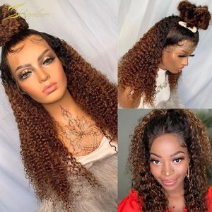 Ombre Human Hair Wig Preplucked Full Deep Wave Curly 13x4 Lace Front Brazilian HD Frontal Water Colored