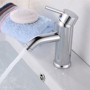 Bathroom Sink Faucets Black/Silver Basin Stainless Steel Single Handle Faucet Deck Mounted Cold Water Mixer Taps Torneria