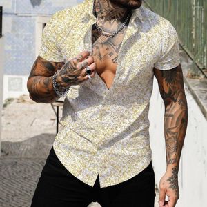 Camisas casuais masculinas Camisa de manga curta masculina lapela 3D Camiseta havaiana de praia Hawaiian S-5xl