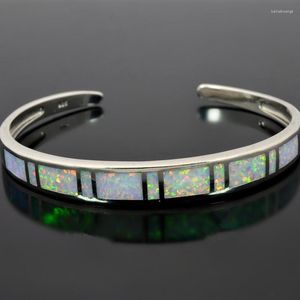 Bangle Cute White Fire Opal Silver Wholesale Sell for Women Jewelry Bnt1711005