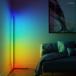 Golvlampor North 365 Typfärger Byte LED RGB Dimning Remote Corner Stand Lamp för Bar Restaurant Bedroom Decoration