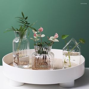 Vaser terrarium hydroponic v￤xtblommor vas ram glas bordsskiva v￤xter heminredning